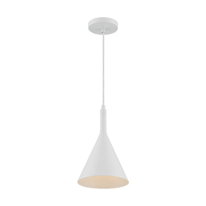 1 Light Pendant