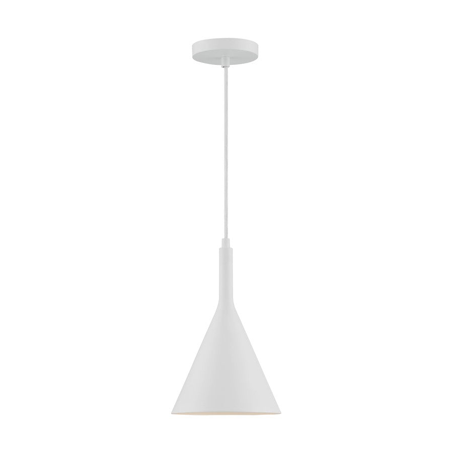 1 Light Pendant
