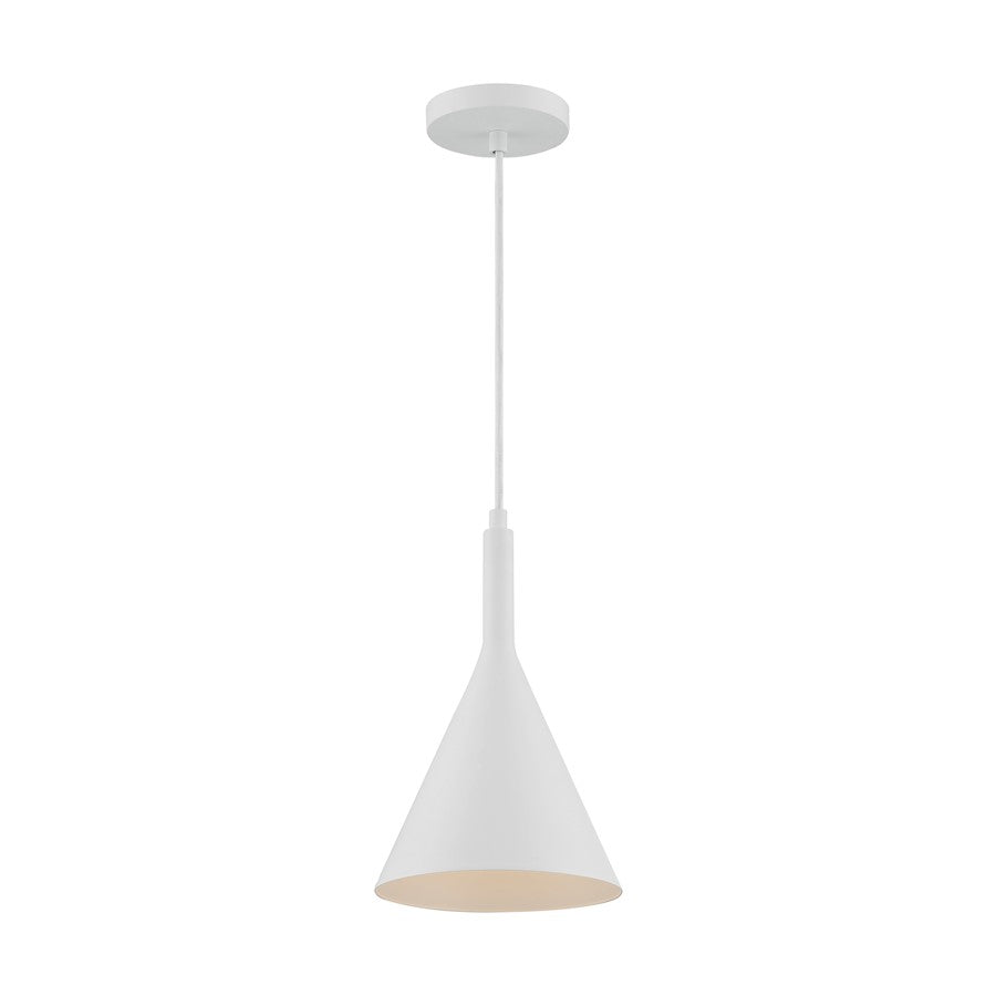 1 Light Pendant