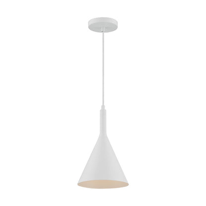 1 Light Pendant
