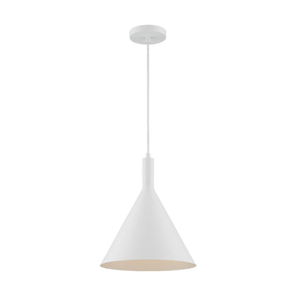 1 Light Pendant