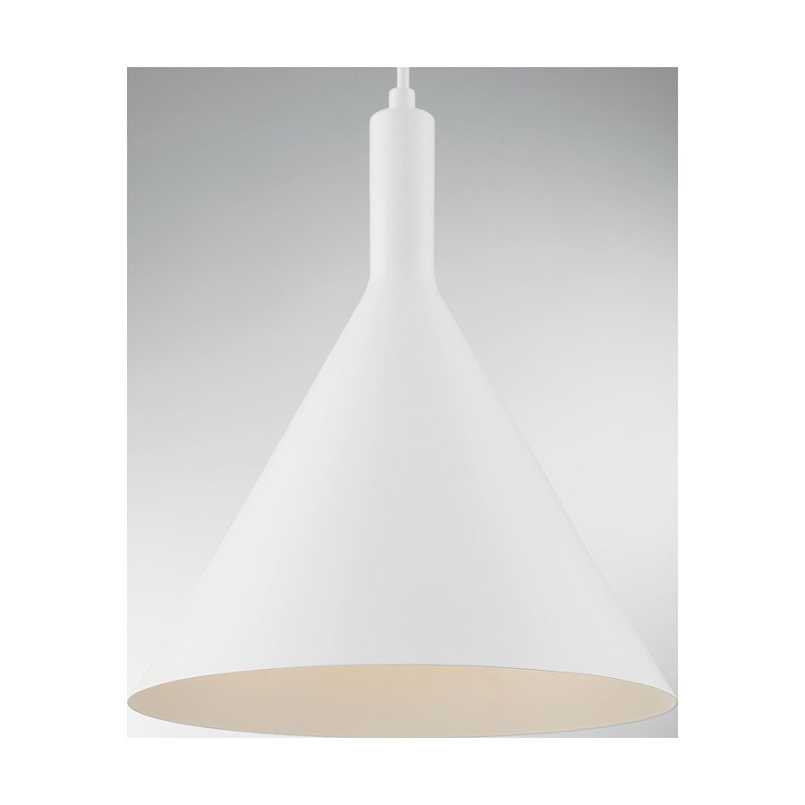 1 Light Pendant