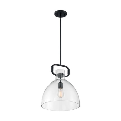 1 Light Pendant, Clear Glass