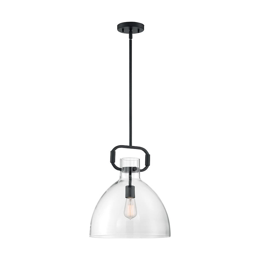 1 Light Pendant, Clear Glass