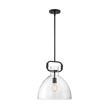 1 Light Pendant, Clear Glass