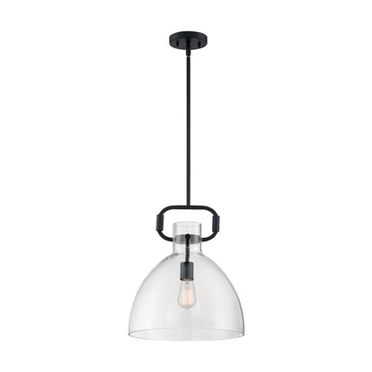 1 Light Pendant, Clear Glass