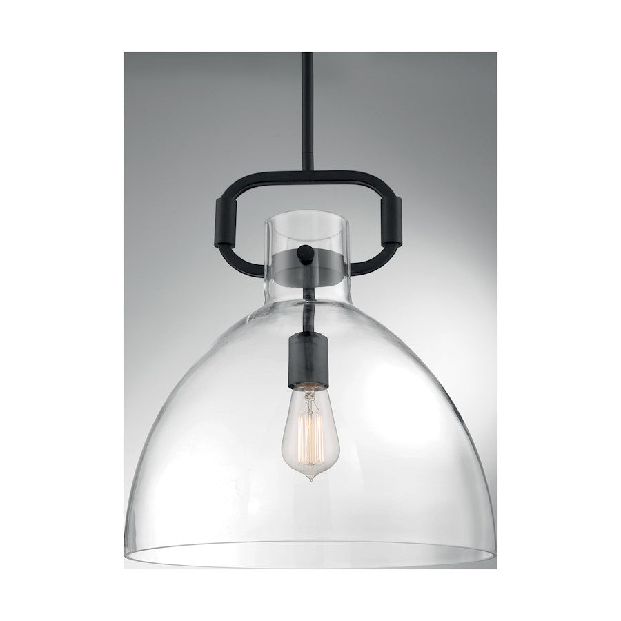 1 Light Pendant, Clear Glass