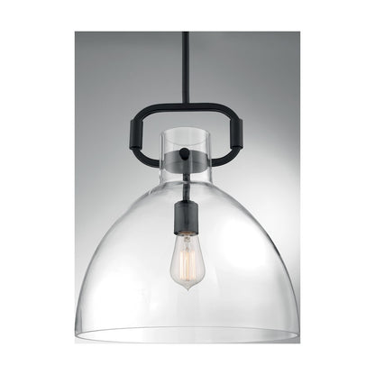 1 Light Pendant, Clear Glass