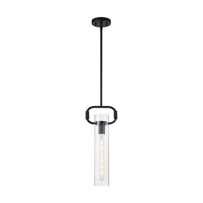 1 Light 5" Pendant, Clear Glass