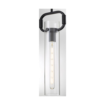 1 Light 5" Pendant, Clear Glass