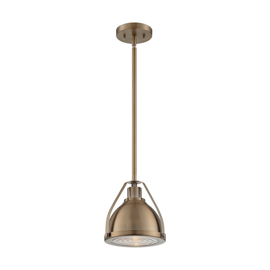 1 Light Pendant