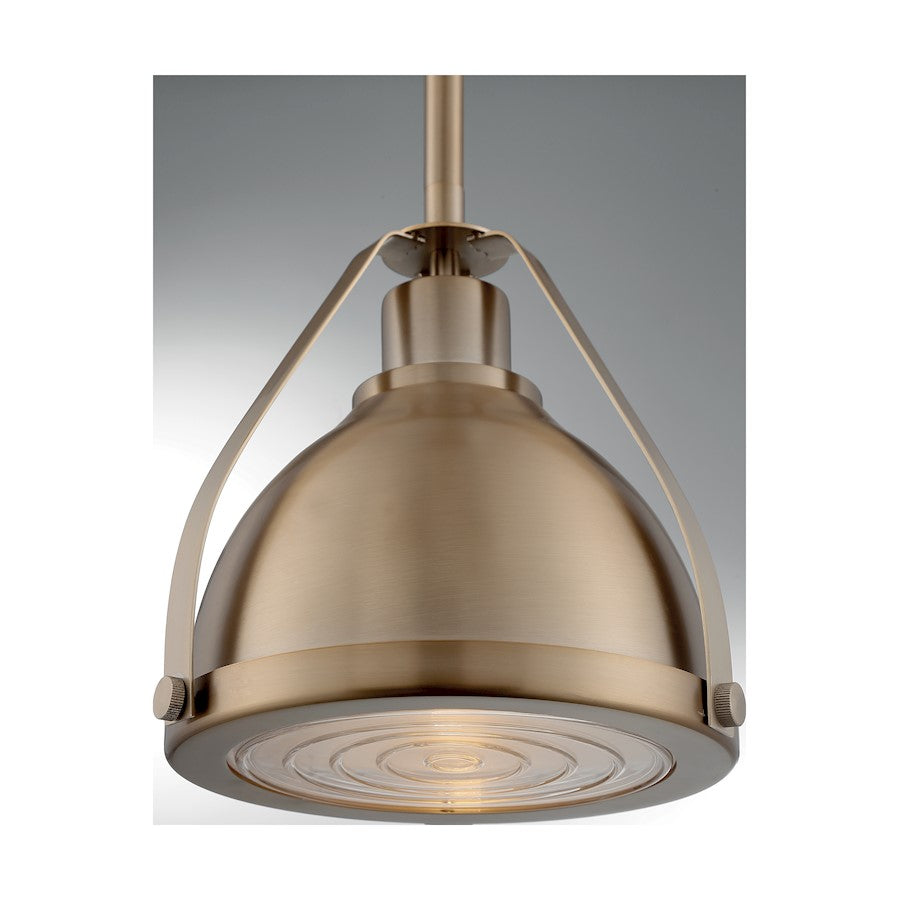 1 Light Pendant