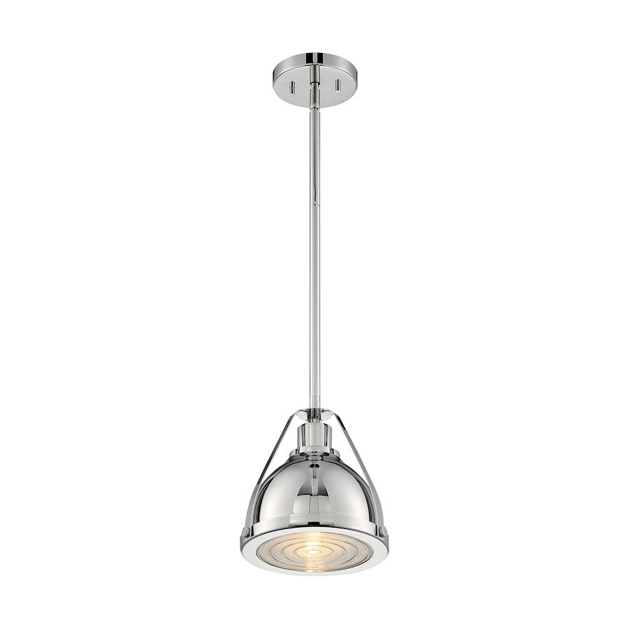 1 Light Pendant