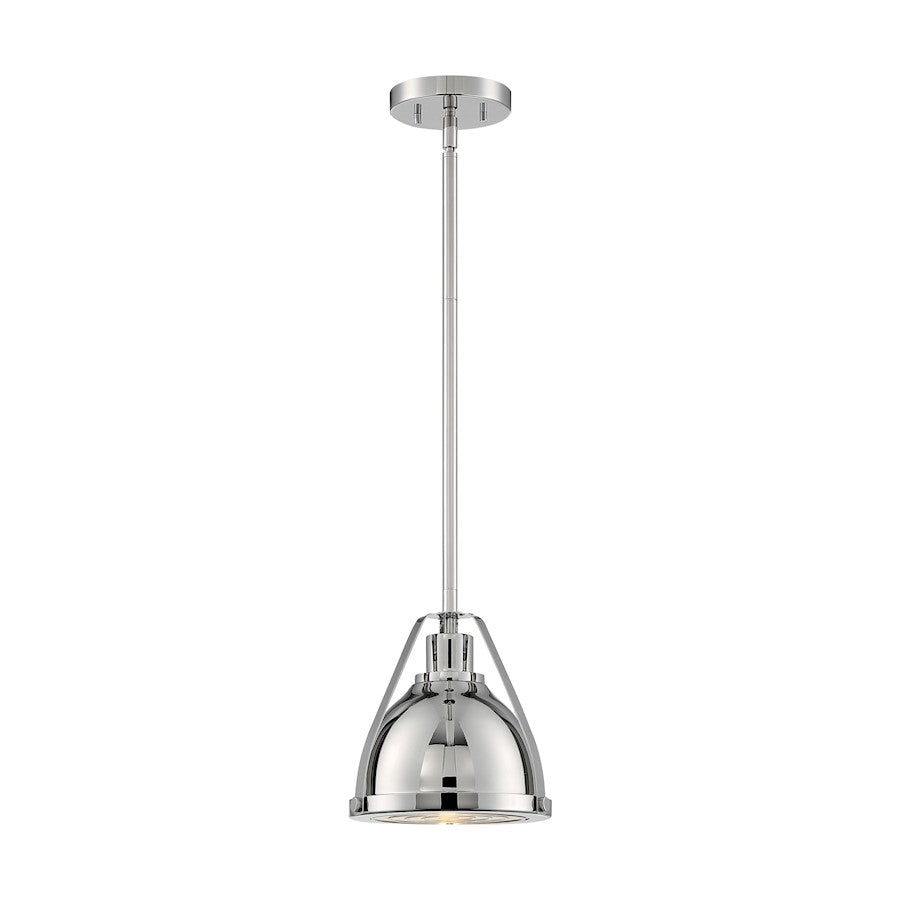 1 Light Pendant