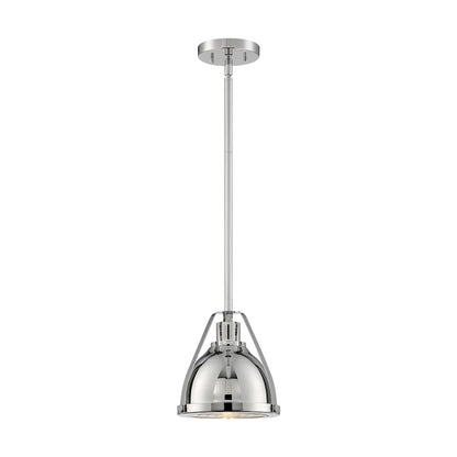1 Light Pendant