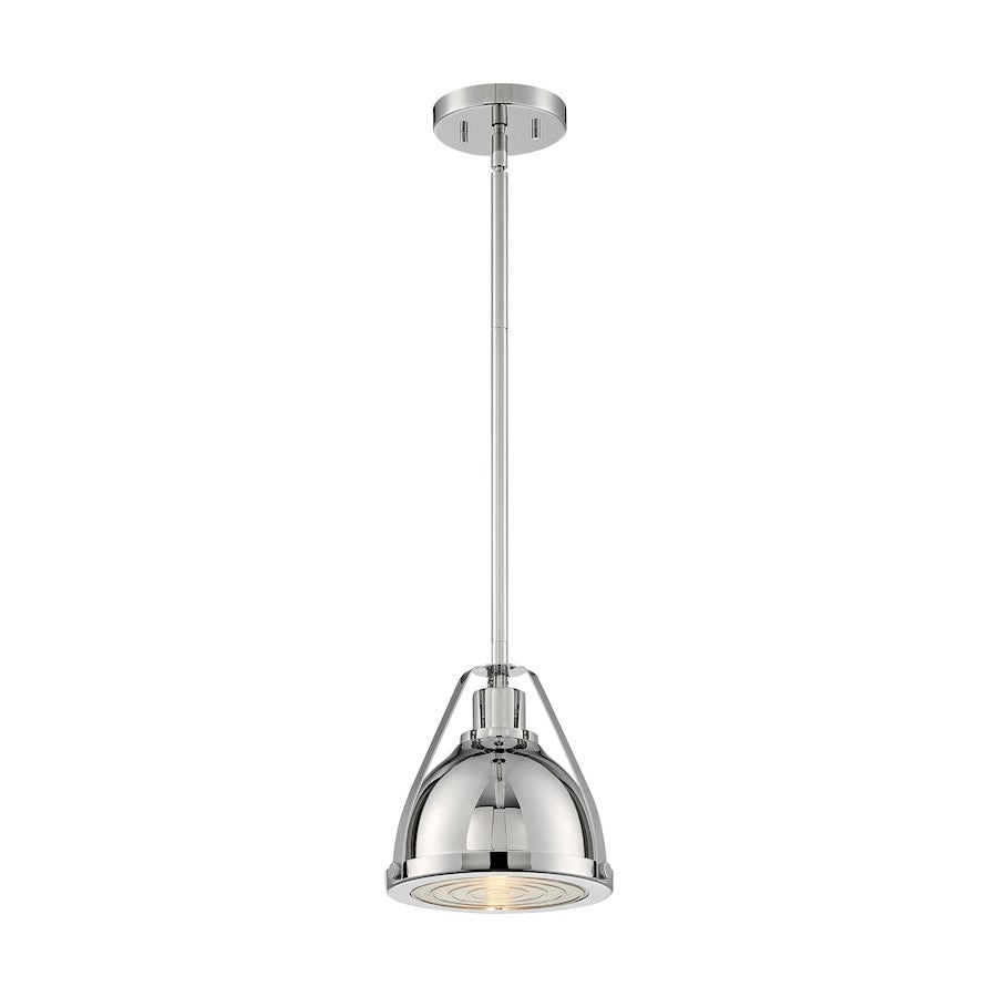 1 Light Pendant