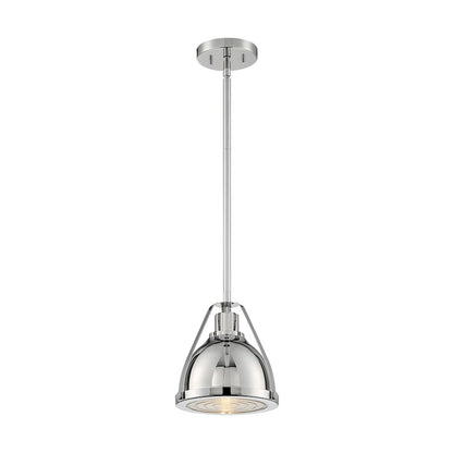 1 Light Pendant