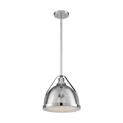 1 Light Pendant
