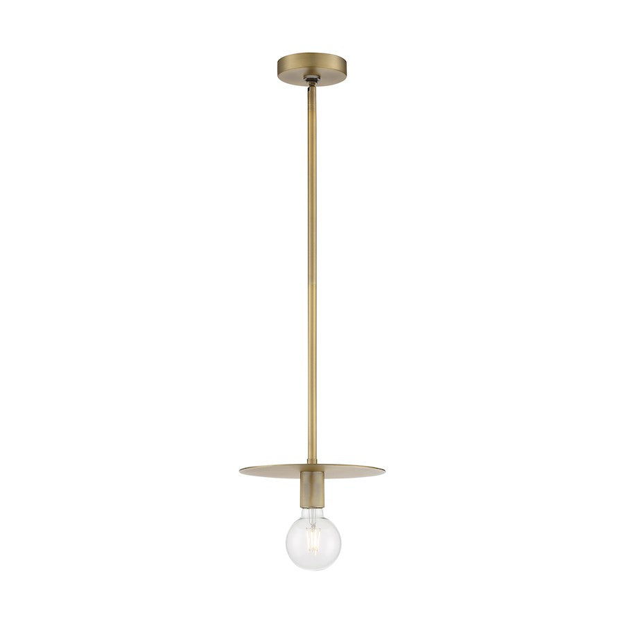 1 Light Mini Pendant