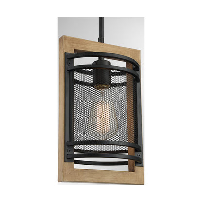 1 Light Mini Pendant, Black