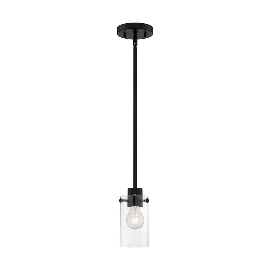 1 Light Mini Pendant, Clear