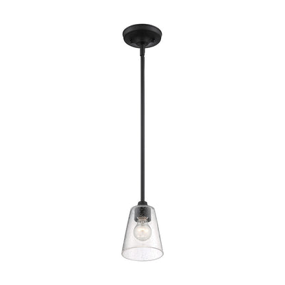 1 Light Mini Pendant
