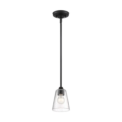 1 Light Mini Pendant