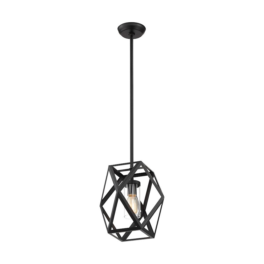 1 Light Mini Pendant, Clear Glass, Black