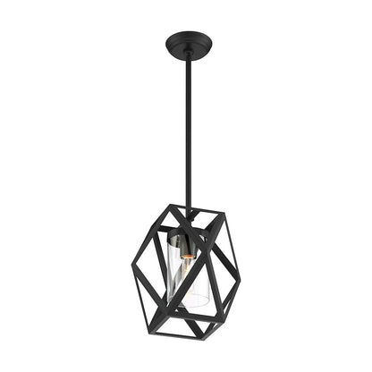 1 Light Mini Pendant, Clear Glass, Black