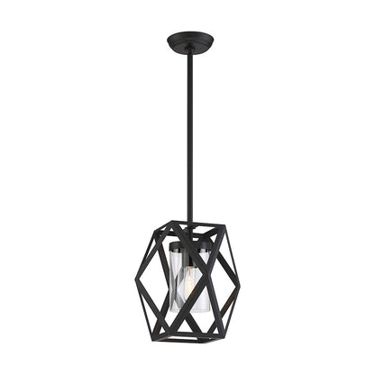 1 Light Mini Pendant, Clear Glass, Black