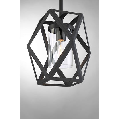 1 Light Mini Pendant, Clear Glass, Black