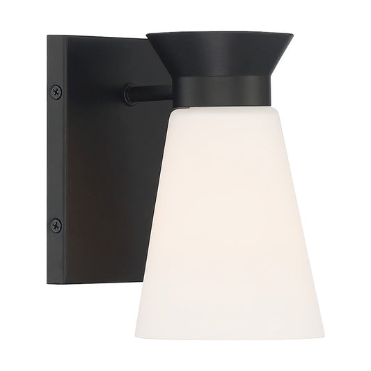 1 Light Wall Sconce