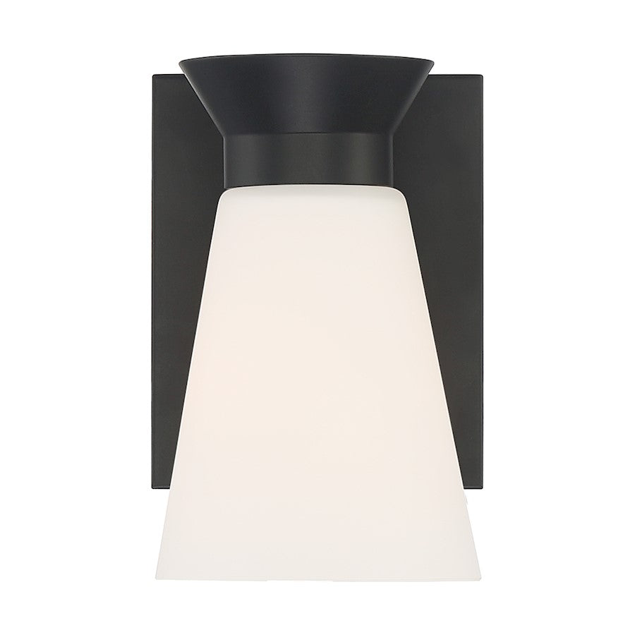 1 Light Wall Sconce