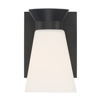1 Light Wall Sconce