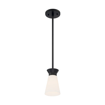 1 Light Mini Pendant, Cylindrical Glass,