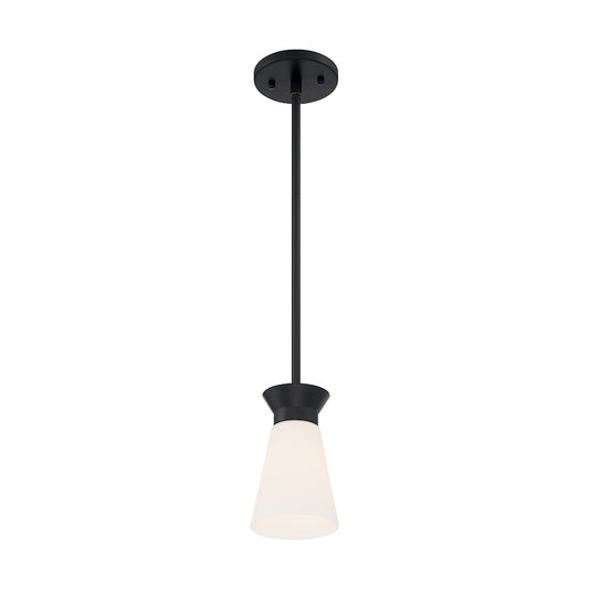 1 Light Mini Pendant, Cylindrical Glass,