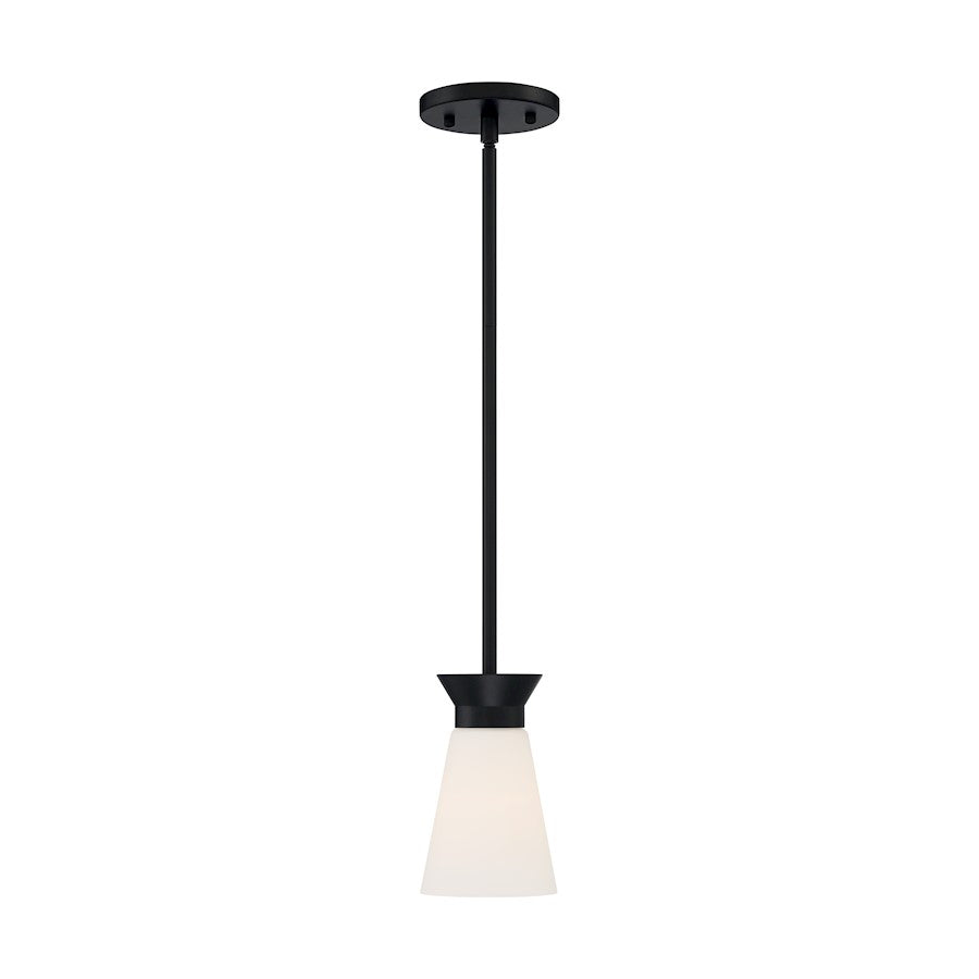 1 Light Mini Pendant, Cylindrical Glass,