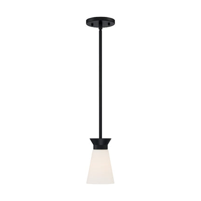 1 Light Mini Pendant, Cylindrical Glass,