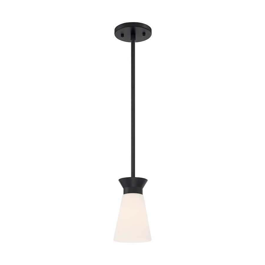 1 Light Mini Pendant, Cylindrical Glass,