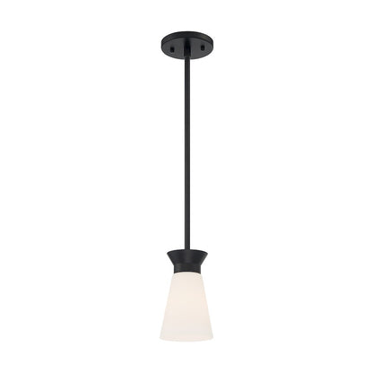 1 Light Mini Pendant, Cylindrical Glass,