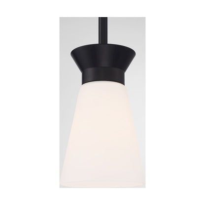 1 Light Mini Pendant, Cylindrical Glass,
