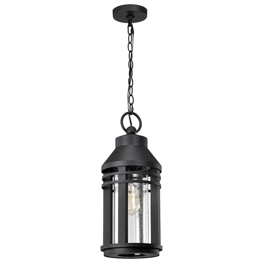 Nuvo Lighting Wilton 1Lt 8" Hanging Lantern, Black/Clear Seeded Glass - 60-8104