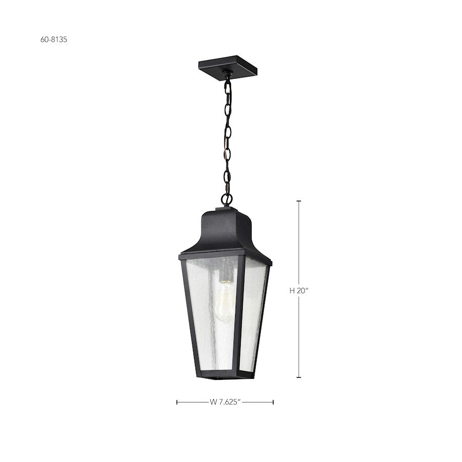 Nuvo Lighting Lawrence 1 Light 8" Hanging Lantern, Black/Clear Seeded