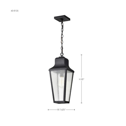 Nuvo Lighting Lawrence 1 Light 8" Hanging Lantern, Black/Clear Seeded