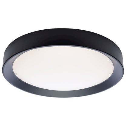 Nuvo Lighting Selene 17in LED Flush Mount | Contemporary Black Steel with Halo Accent | Bedroom & Hallway Ceiling Light | 2000 Lumens | Model 62-1698