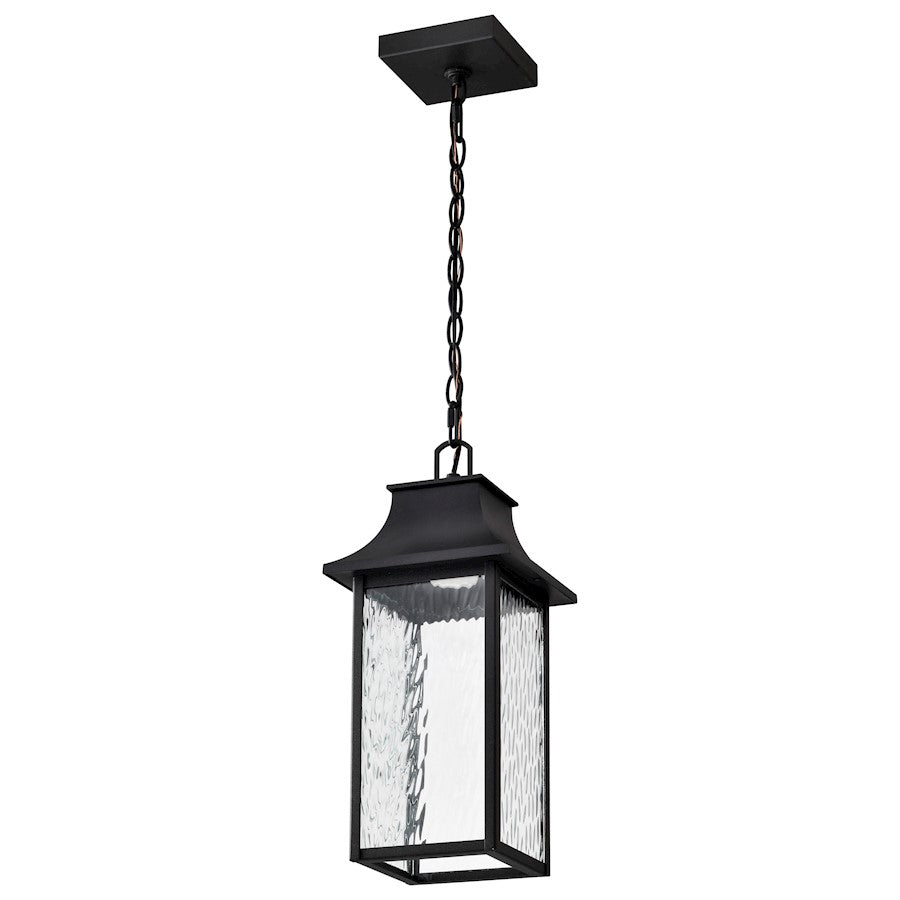 Nuvo Lighting Austen 1Lt LED 8" Outdoor Hanging Fixture, Black Water - 62-5996