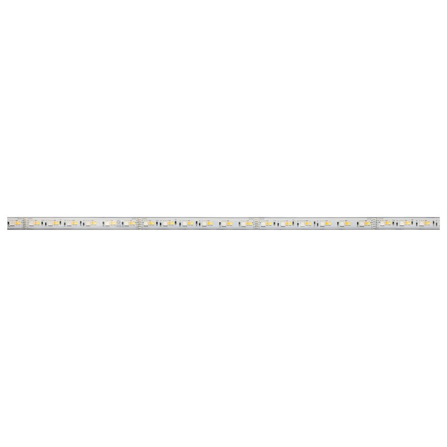 Nuvo Lighting Pro Tape 393.7in RGB/Tunable White LED Tape Light | Smart App-Controlled Outdoor Wet Location | Patio & Deck Accent | 33W | Model 64-144