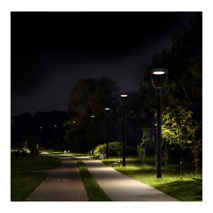 Nuvo LED Post Top Light 21in | Utility Bronze Powder-Coated Aluminum | Pathways & Parking Areas | 35-75W, 4375-10875 Lumens | Model 65-895