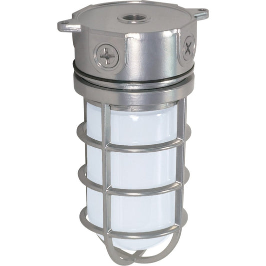Nuvo SF76-624 1-Light Outdoor Flush Mount | Traditional Metallic Silver and Frosted Glass | Covered Patio & Entryway | 4.25 x 9.375 in | Model SF76-624