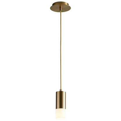 1 Light Pendant